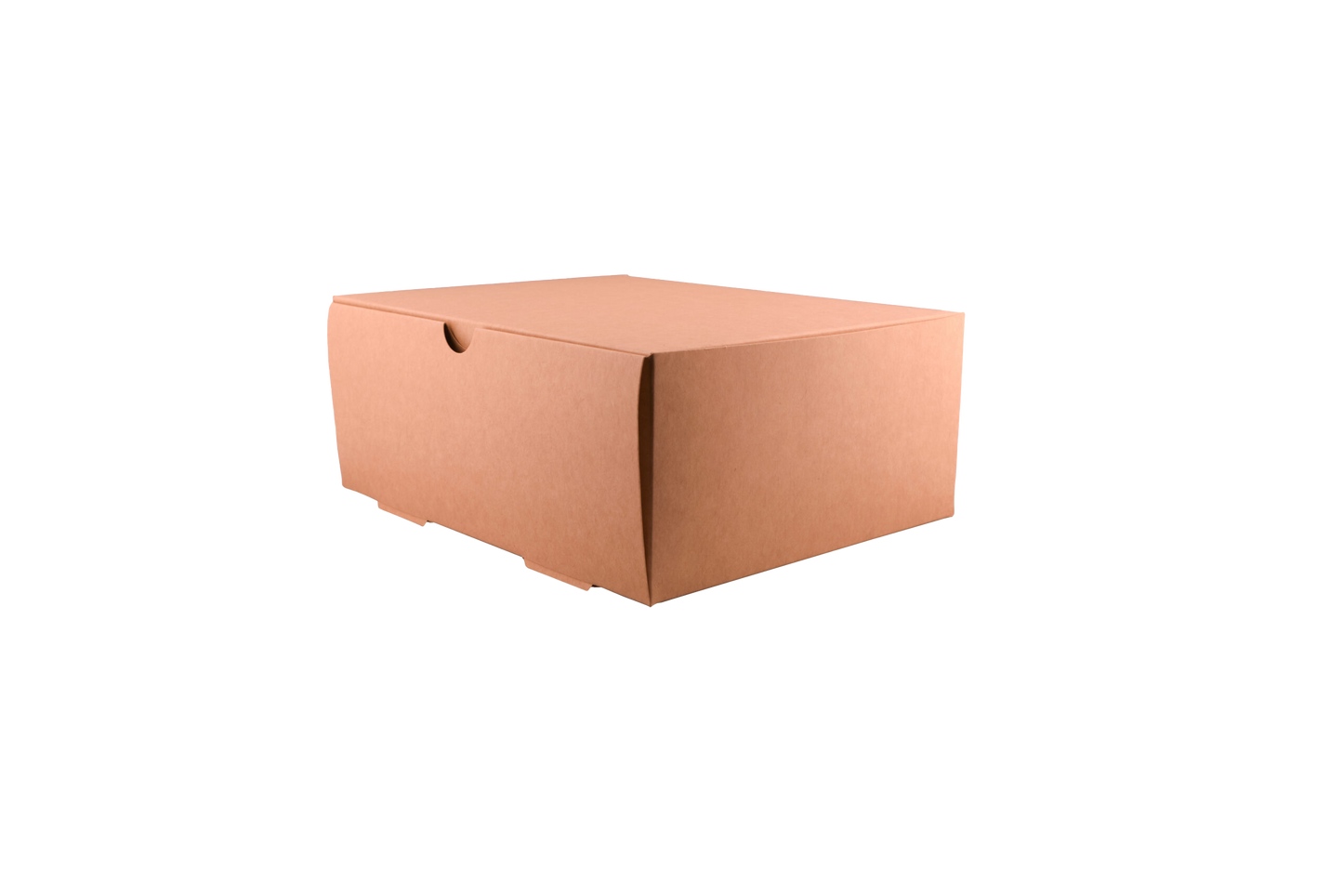 Caja delivery 3500-A x20u