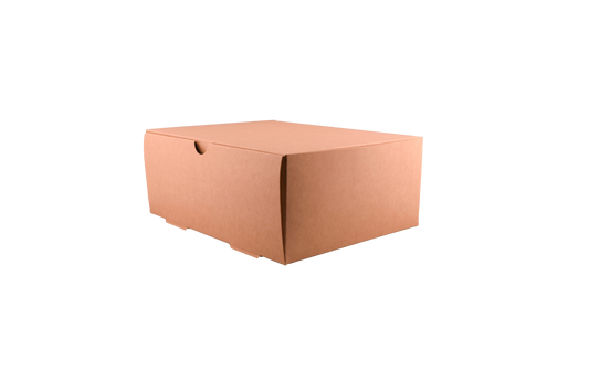 Caja delivery 3500-A x20u