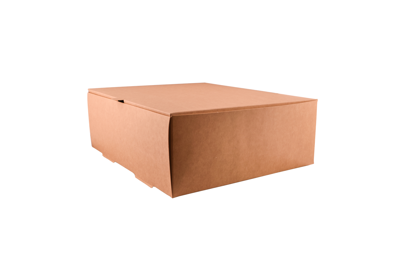 Caja delivery 5200-A x20u