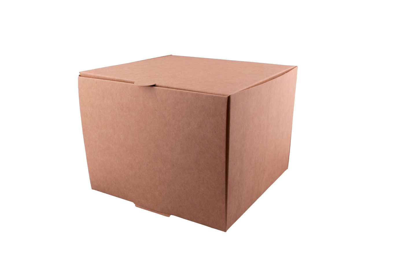 Caja delivery cuadrada L x20u