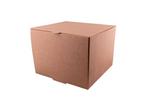 Caja delivery cuadrada L x20u