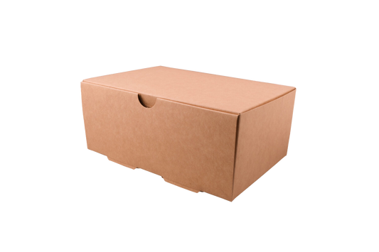 Caja delivery 1500-A x20u